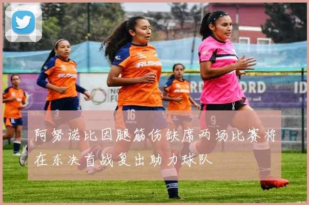 阿努诺比因腿筋伤缺席两场比赛将在东决首战复出助力球队